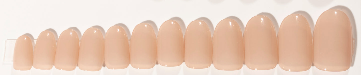 Nude Muse